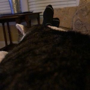 Meet your Posher, Denise